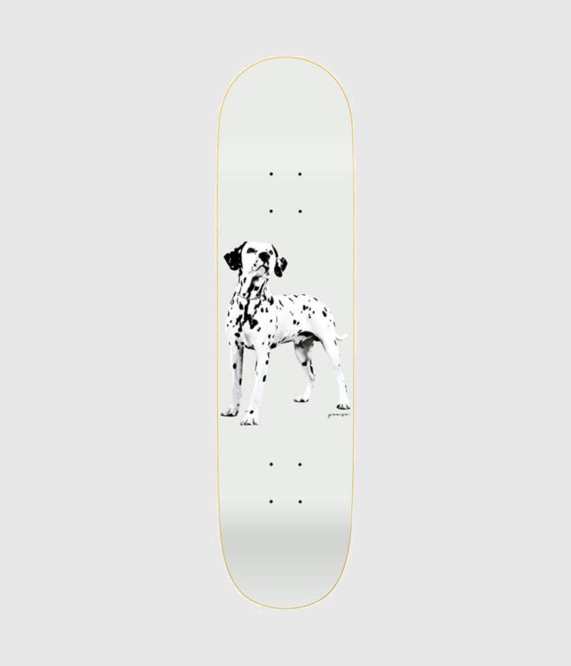 Quasi Skateboards Good Boy Skateboard Deck 8"