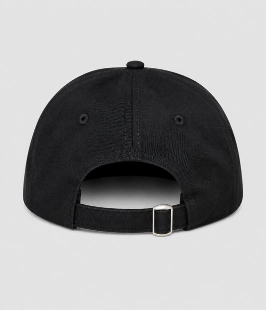 Lovenskate 'Logo 5 Panel Cap in Black/ Blue